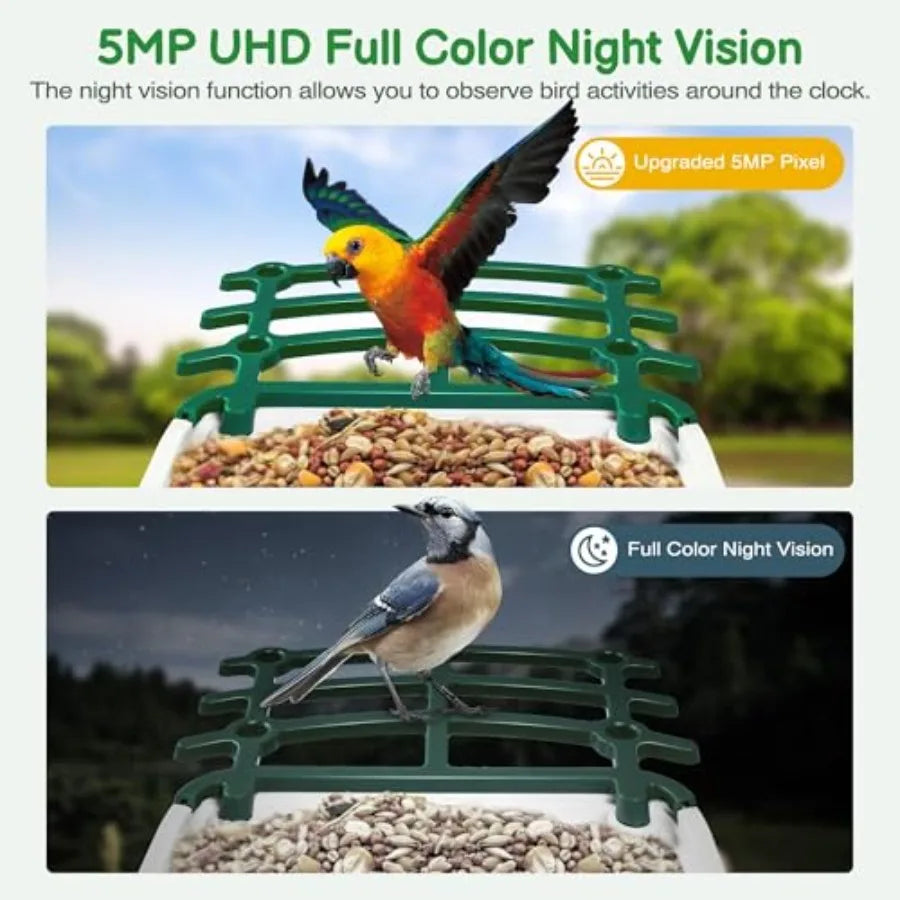 Smart Bird Feeder with Camera Solar Panel