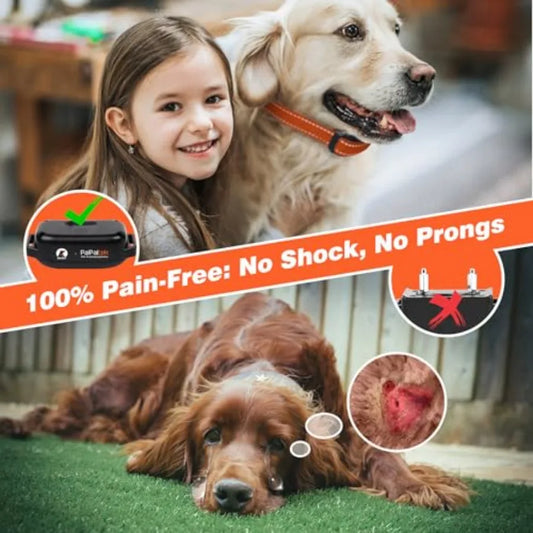 Vibrating Dog Collar No Shock