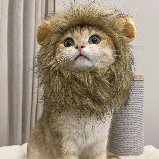 New Cute Funny Clothes Cap
