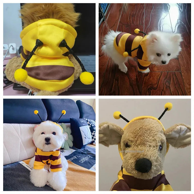 Bee Pet Puppy Coat Apparel Outfit  Small Medium Dogs & Cats