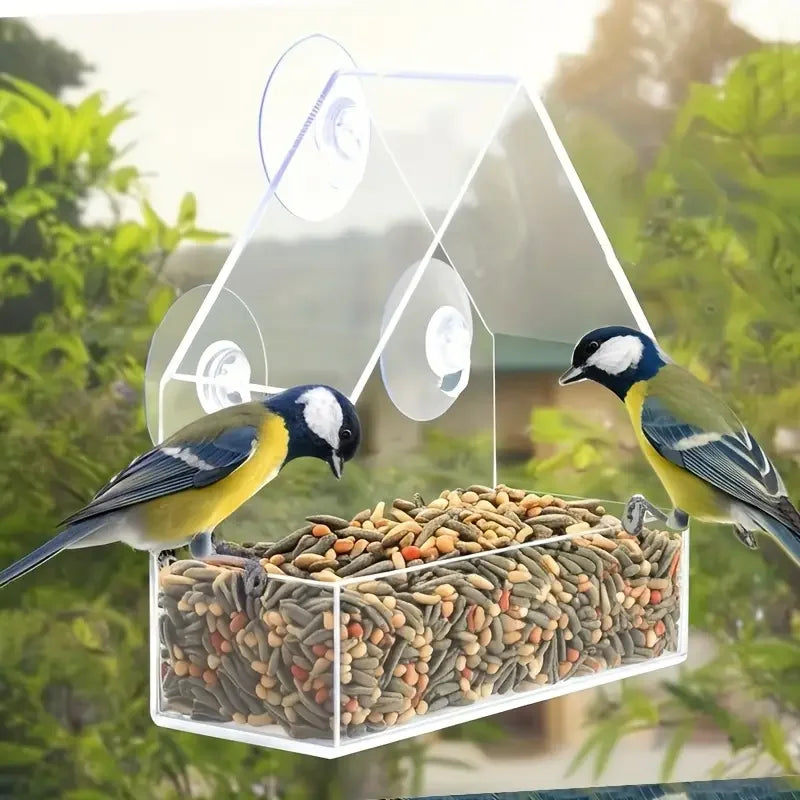 Transparent Bird Feeder for Wild Birds