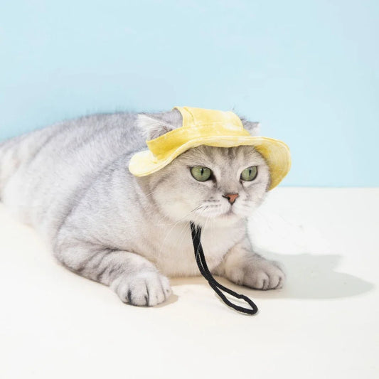 Pet Hat with Ear Holes Medium Small Dogs