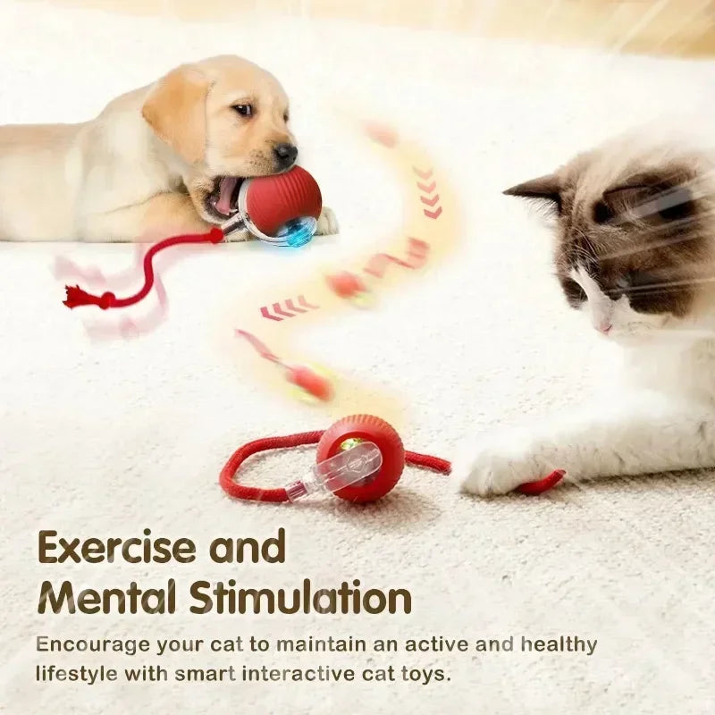 Cat Interactive Ball Toy, Rechargeable
