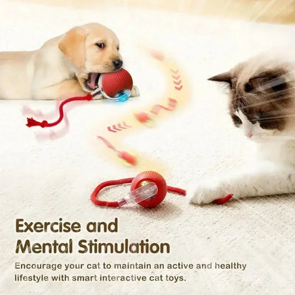 Cat Interactive Ball Toy, Rechargeable