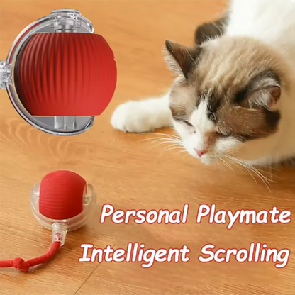 Interactive Self-Play Cat Toys, Automatic Teaser Ball and Rotating