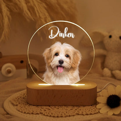 Personalized Pet Photo  Frame Acrylic Wooden Base  Cat Dog Pet Loss Christmas Gift