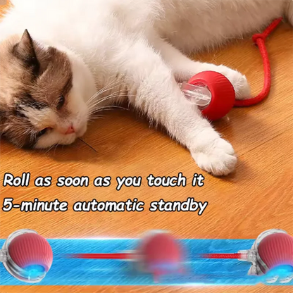 Interactive Self-Play Cat Toys, Automatic Teaser Ball and Rotating