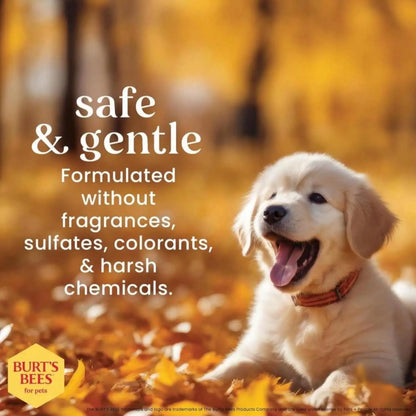 Tear Free Puppy Shampoo And Conditioner