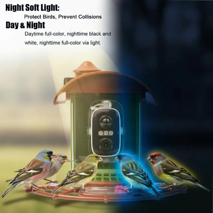 Smart Bird Feeder Camera with AI Identify Solar Powered 2K HD Video