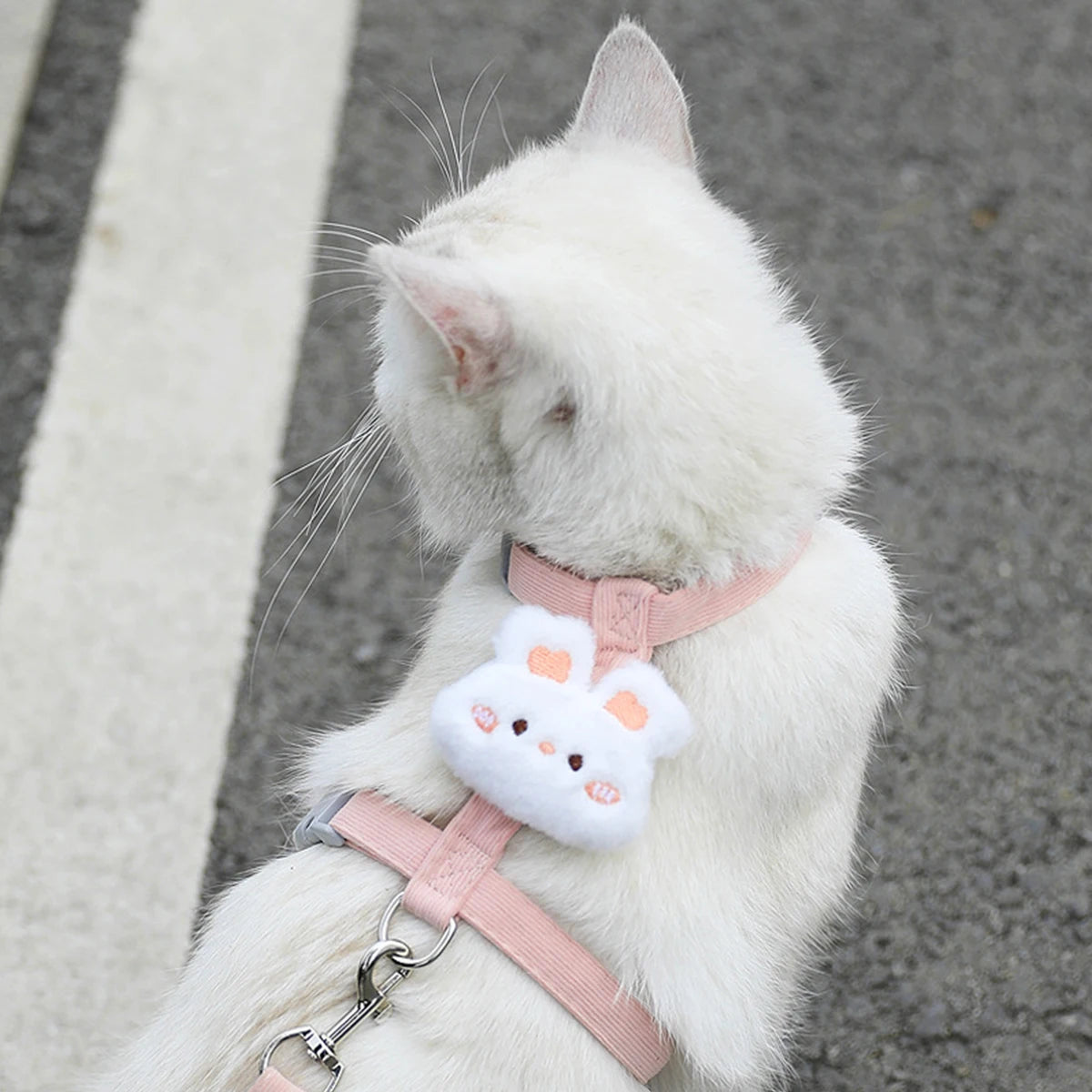 Cat Harness and Leash Sets