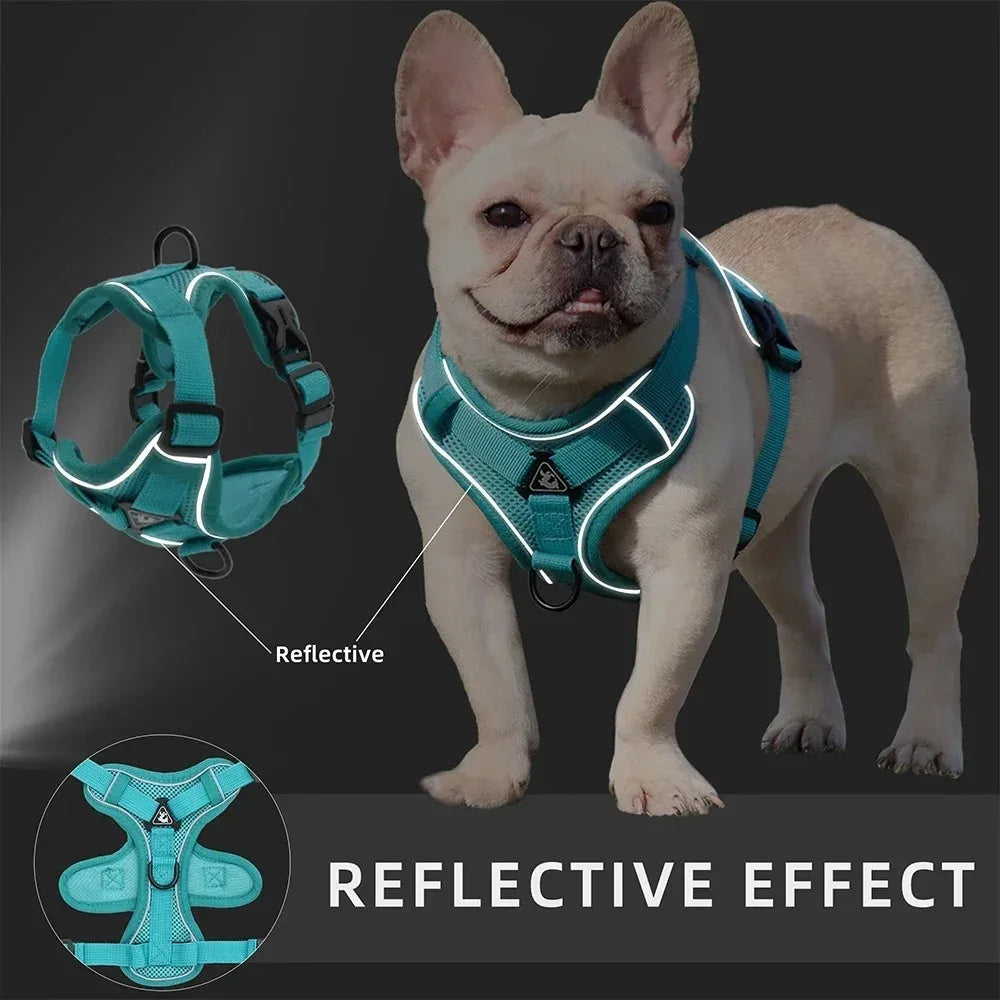 No Pull Dog  Adjustable Harness Vest for Small Dogs Chest Strap Lead Walking