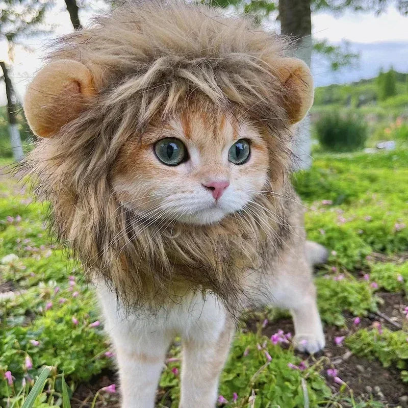 New Cute Funny Clothes Cap