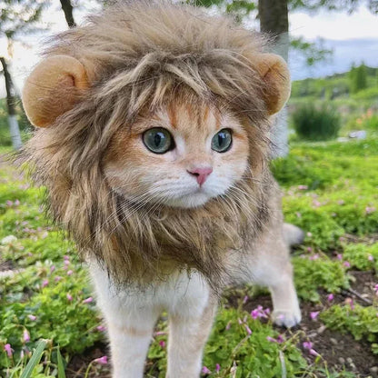 New Cute Funny Clothes Cap