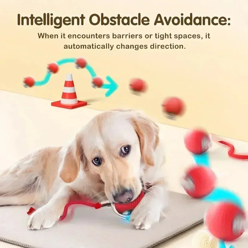 Cat Interactive Ball Toy, Rechargeable