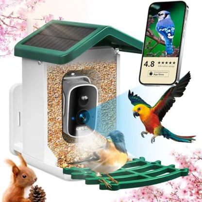 Smart Bird Feeder with Camera  Solar Panel