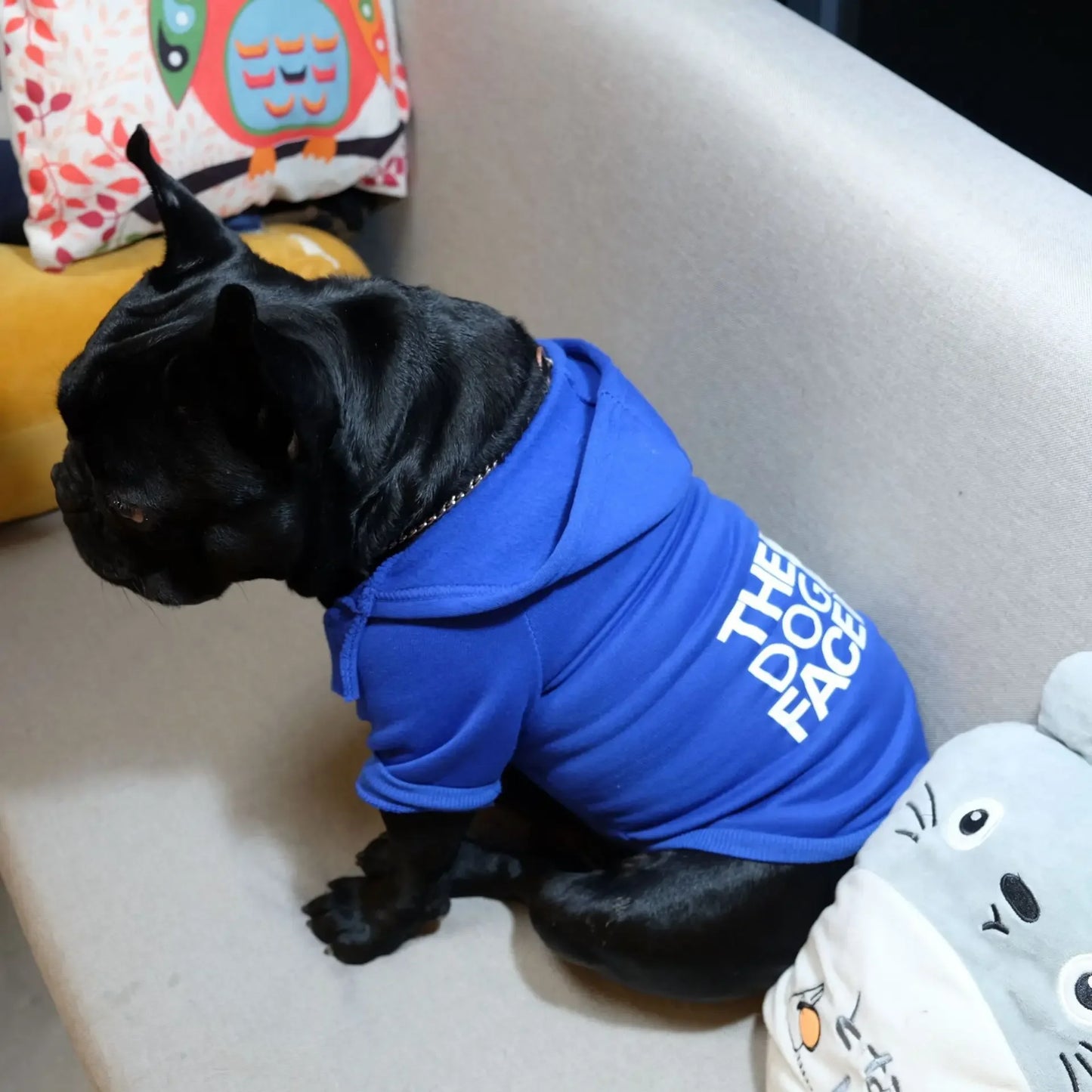 Dog Hoodies Autumn and Winter