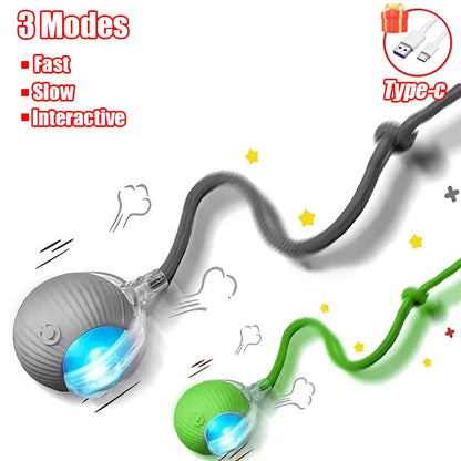 New Cat Interactive Ball Toy Automatic Rolling Ball Faux Tail Rechargeable Smart Pet Electric Toy