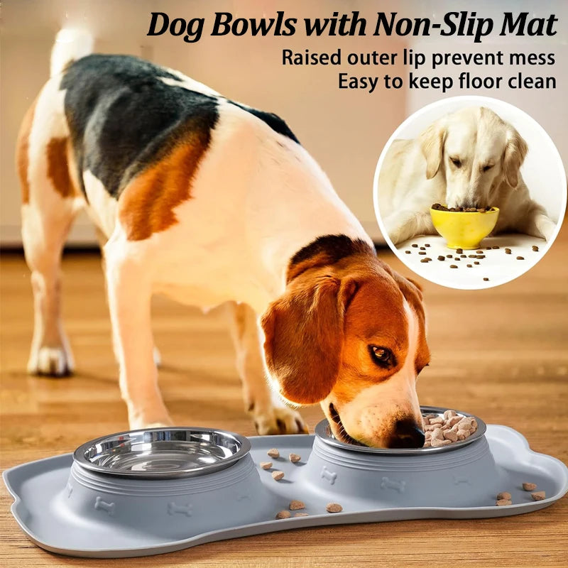 Stainless Steel Feeder Silicone Anti-spill Cats Dog