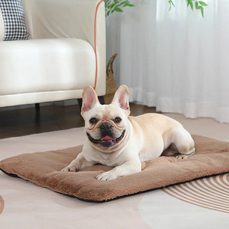 Short Plush Heated Sleeping Mat Cats And Dogs