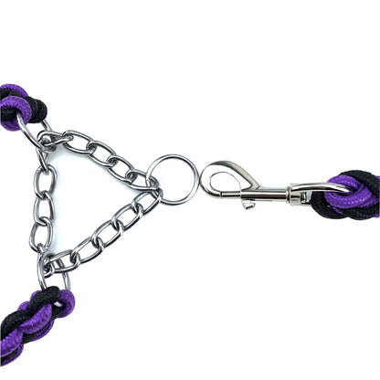 Dog Collar And Leash Set