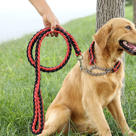 Dog Collar And Leash Set