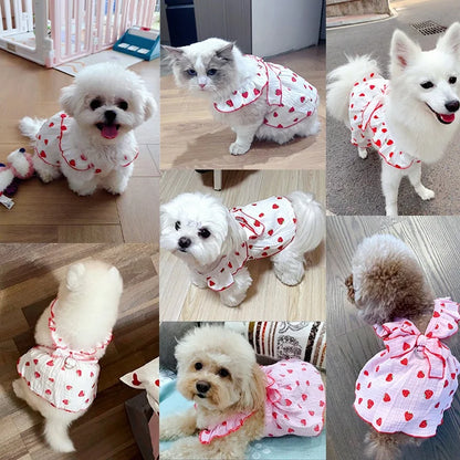 Bowknot Skirts Cat Princess Dress Sweet Skirts