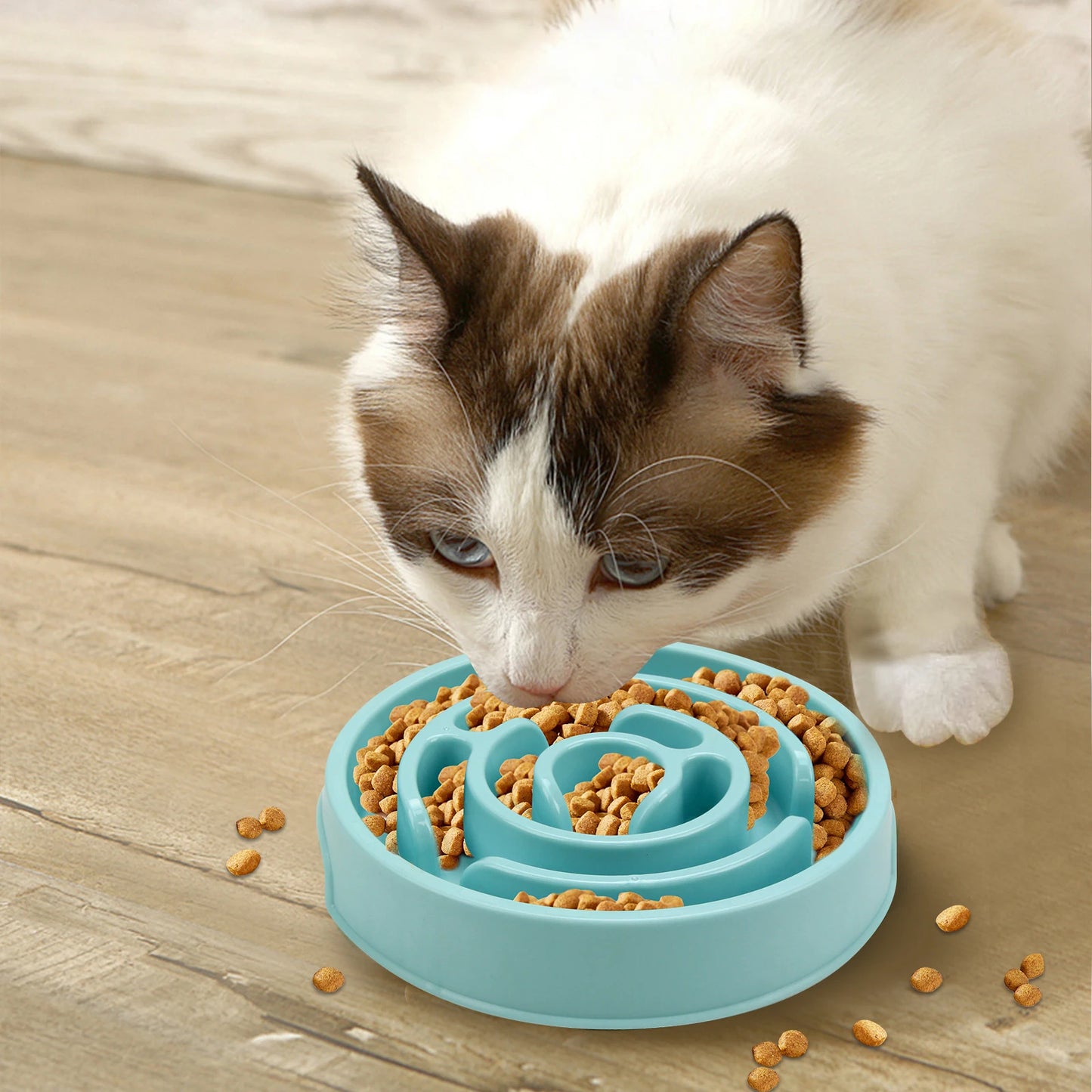 Slow Feeder Bowl Slower Food Feeding for Large Medium Small Dogs Puppy