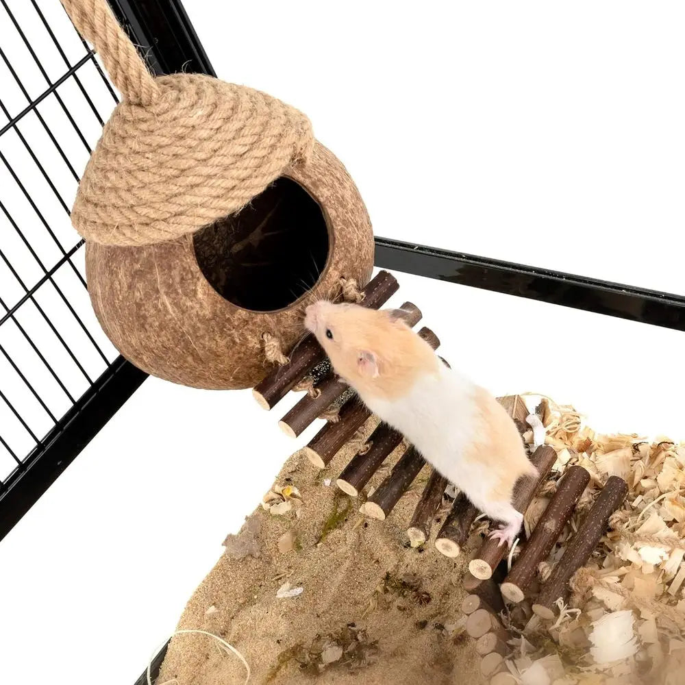 Coconut Bird Nest Hut with Ladder for Parrots Parakeet Conures Cockatiel