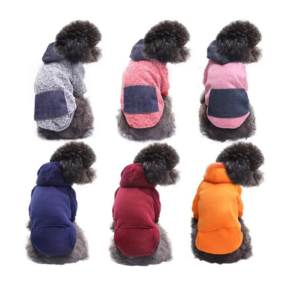 Hoodie Warm Autumn Winter Coat  Wholesale Designer dog clothes