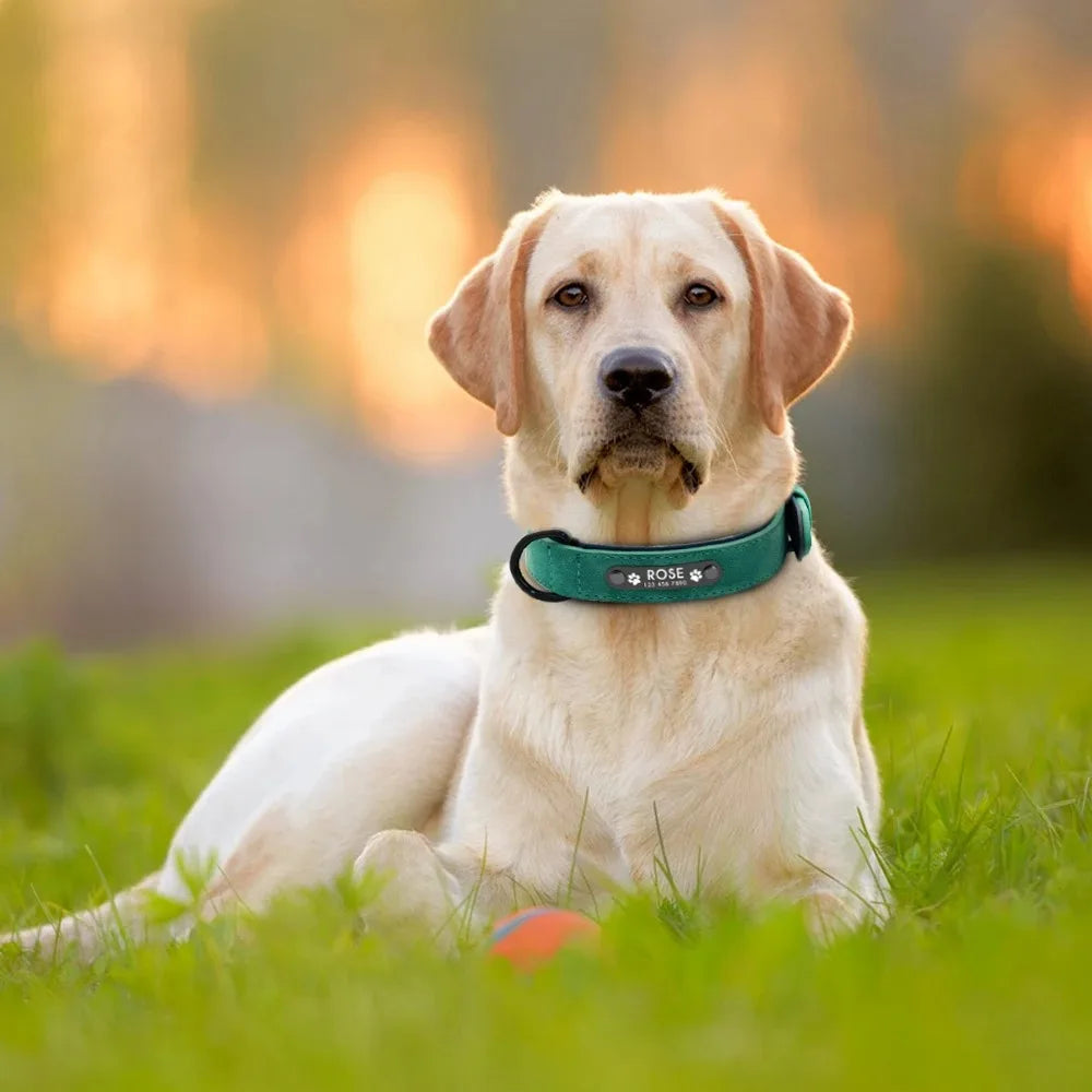 Personalized ID  Dog Collars Leather for Small Medium Large Dogs