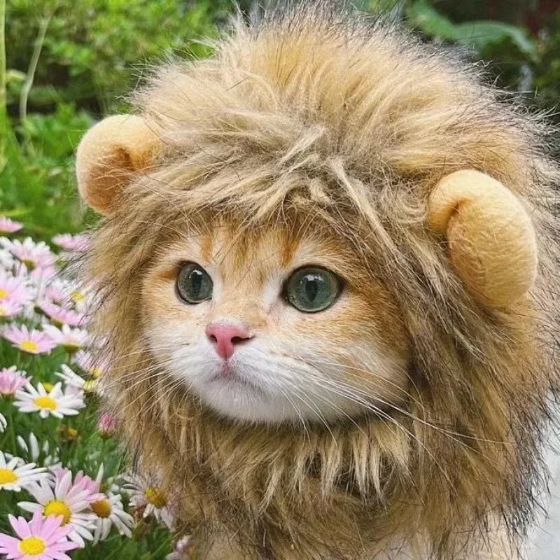 New Cute Funny Clothes Cap
