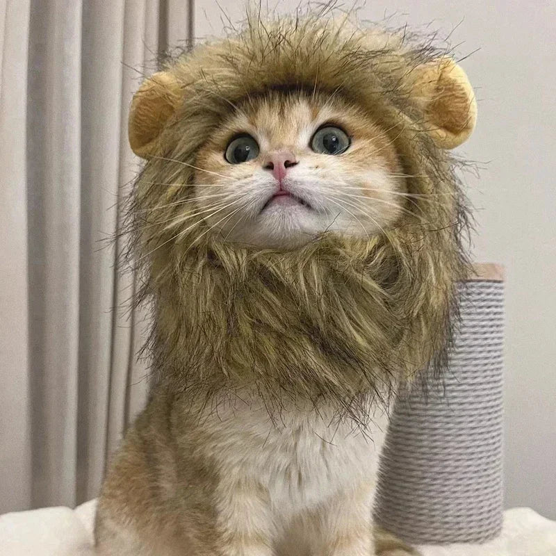 New Cute Funny Clothes Cap