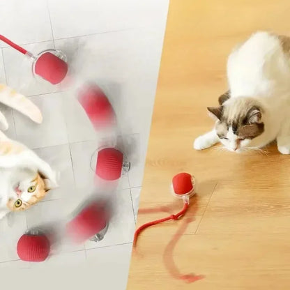 Cat Interactive Ball Toy, Rechargeable