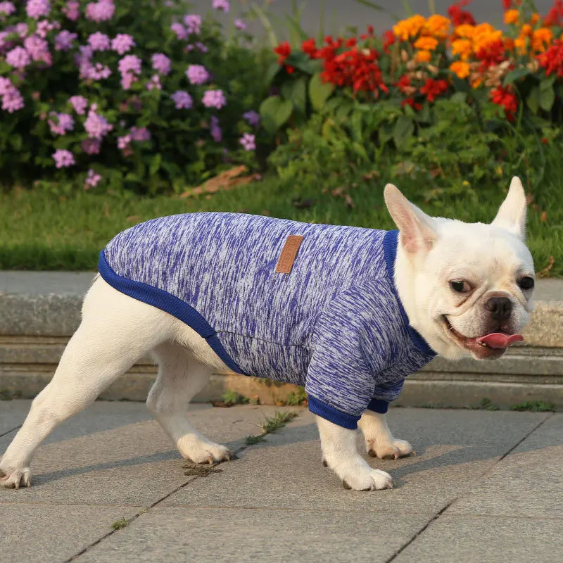 French Bulldog, Pug, Dog, Pet Clothes, Autumn and Winter Sweatshirts.