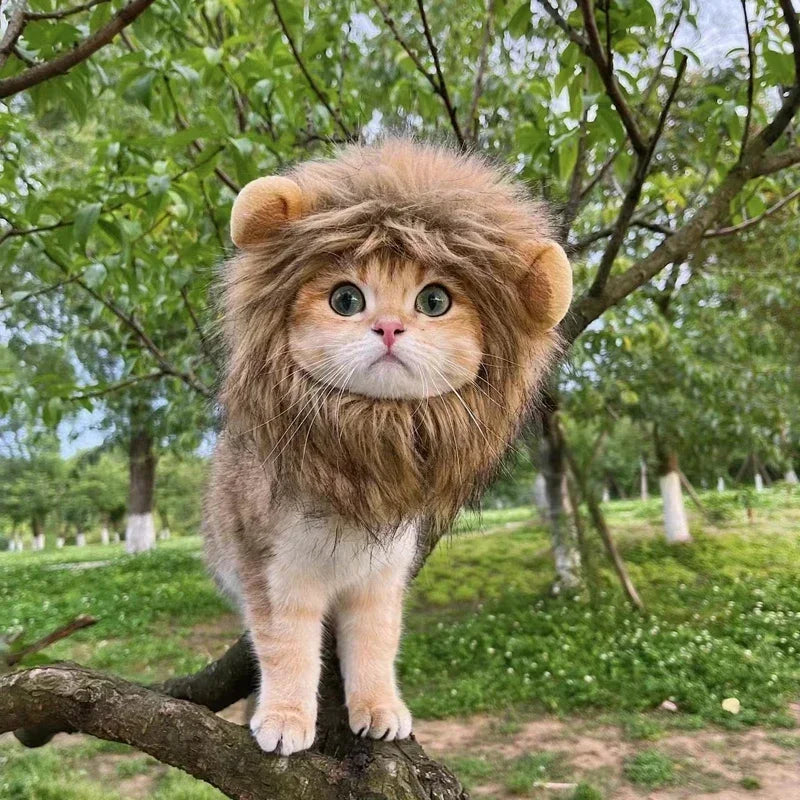 New Cute Funny Clothes Cap