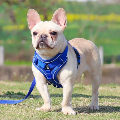 No Pull Dog  Adjustable Harness Vest for Small Dogs Chest Strap Lead Walking