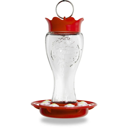 Glass Hummingbird Feeder  Ant Moat Easy Clean Dishwasher