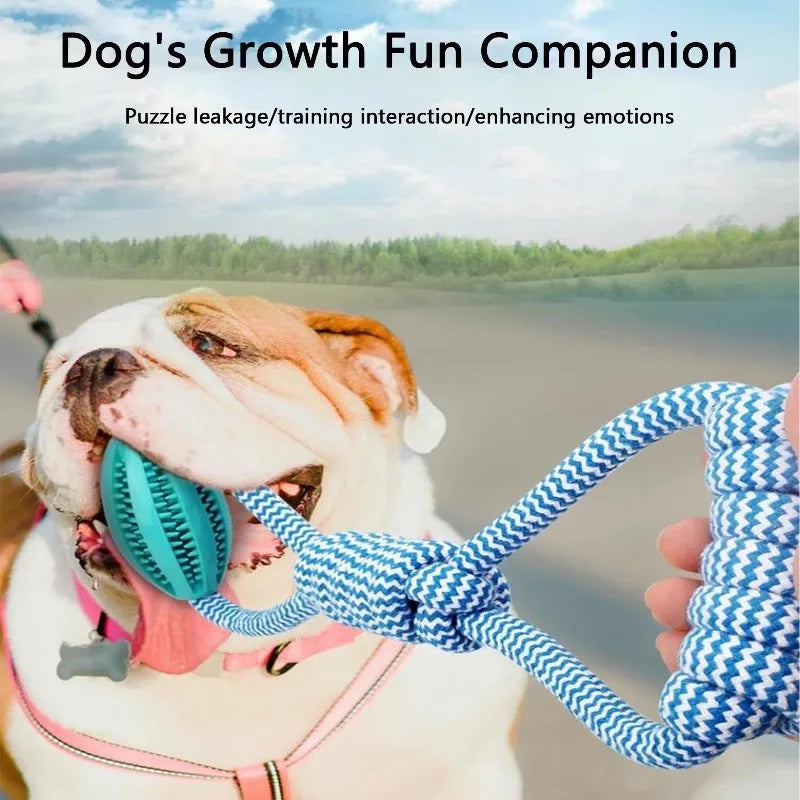 Durable Rope Dog Toy for Aggressive Chewers, Interactive Tug of War interactive