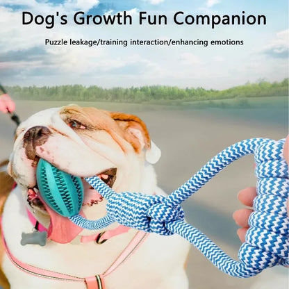 Durable Rope Dog Toy for Aggressive Chewers, Interactive Tug of War interactive