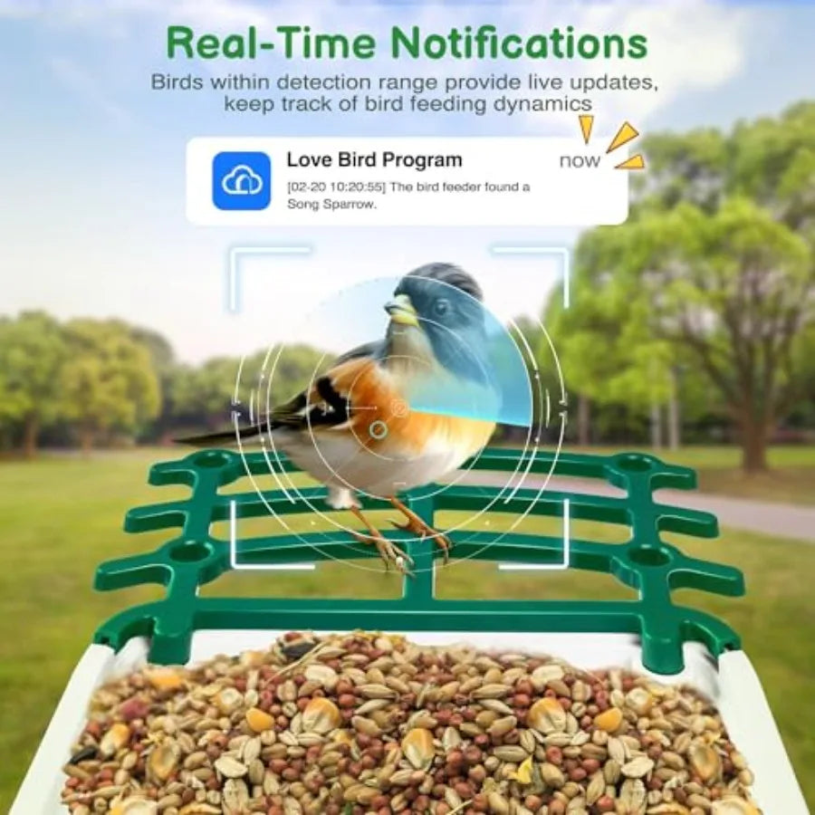 Smart Bird Feeder with Camera  Solar Panel