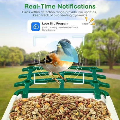 Smart Bird Feeder with Camera  Solar Panel