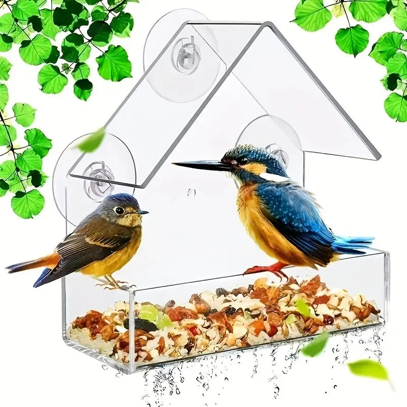 Transparent Bird Feeder for Wild Birds