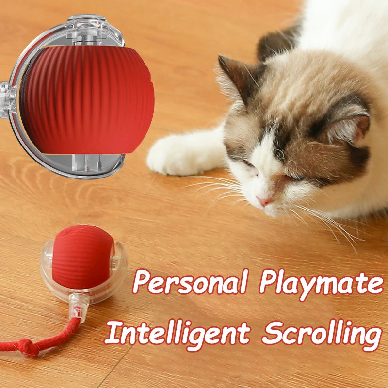 New Cat Interactive Ball Toy Automatic Rolling Ball Faux Tail Rechargeable Smart Pet Electric Toy