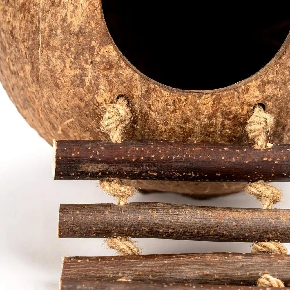 Coconut Bird Nest Hut with Ladder for Parrots Parakeet Conures Cockatiel