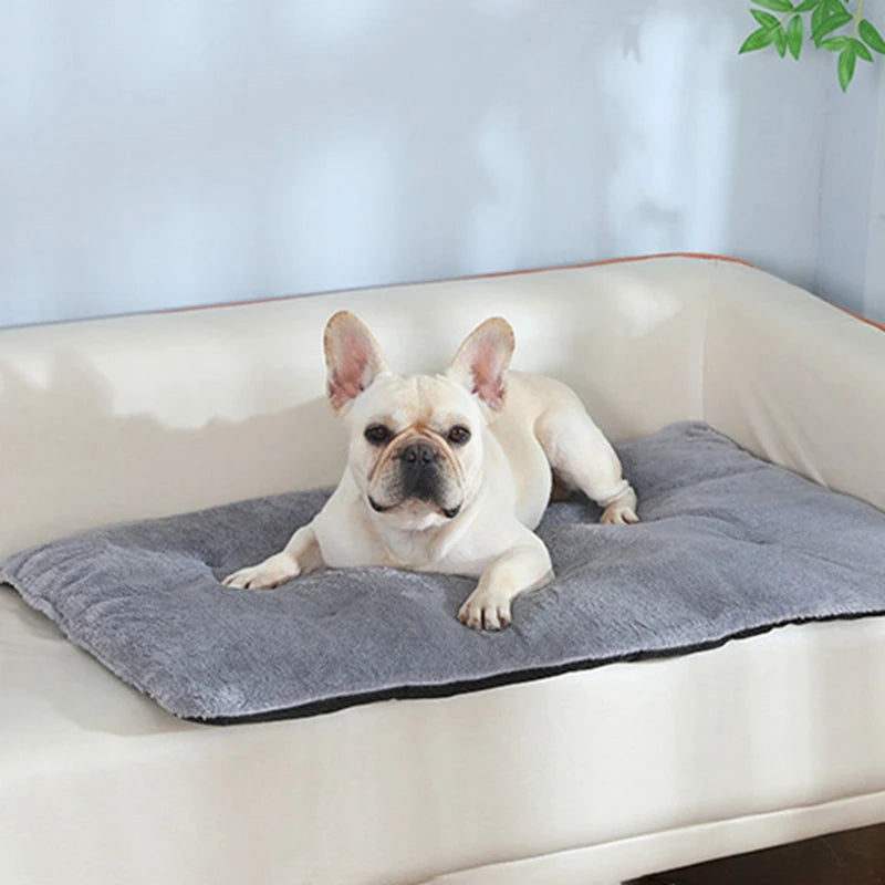 Short Plush Heated Sleeping Mat Cats And Dogs