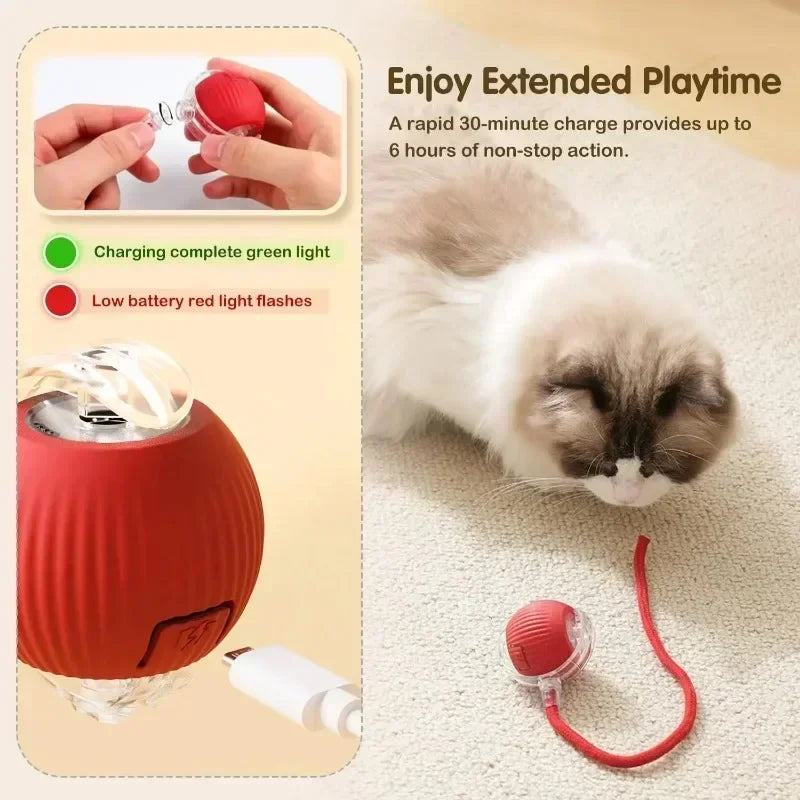 Cat Interactive Ball Toy, Rechargeable