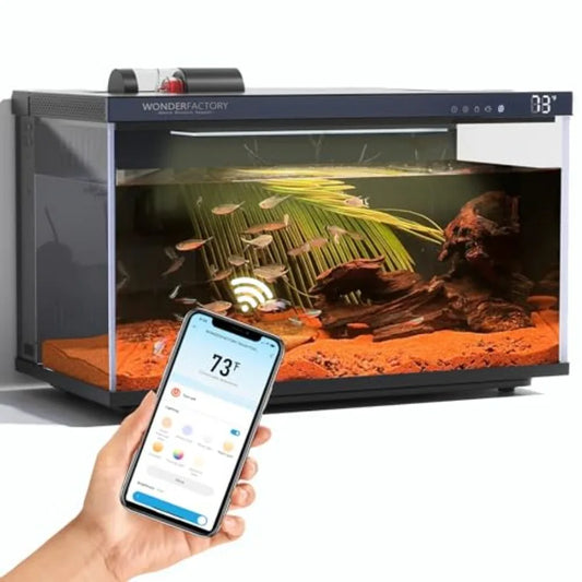 5 Gallon Glass Aquarium Self-Cleaning Filter 7-Color LED Lights Automatic Feeder Temperature Monitor HD