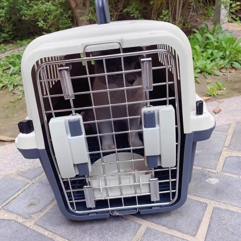 Airline Pet Carrier with Ventilation Windows Handle Small Dogs Cats