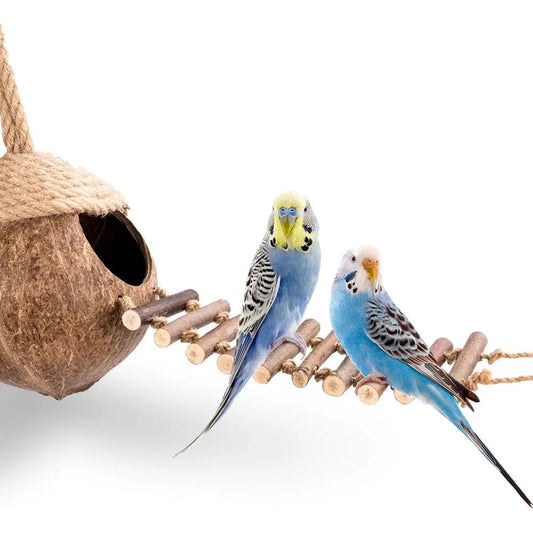 Coconut Bird Nest Hut with Ladder for Parrots Parakeet Conures Cockatiel