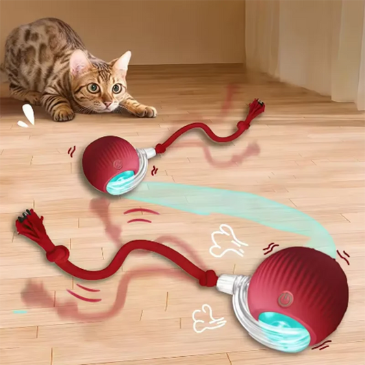 Interactive Self-Play Cat Toys, Automatic Teaser Ball and Rotating